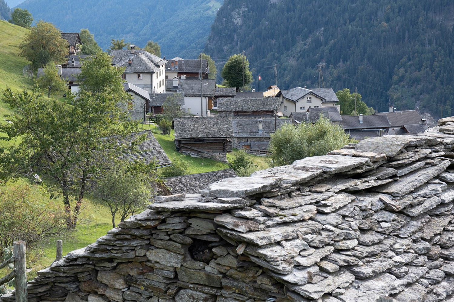 Plus de la moitié des logements de Braggio sont des résidences secondaires.