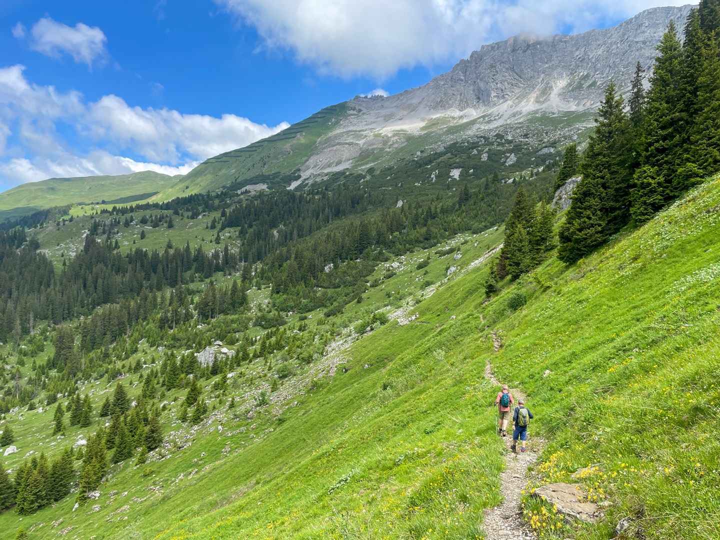 Le chemin serpente le long du versant, tantôt à travers des alpages, tantôt à travers un paysage rocailleux.