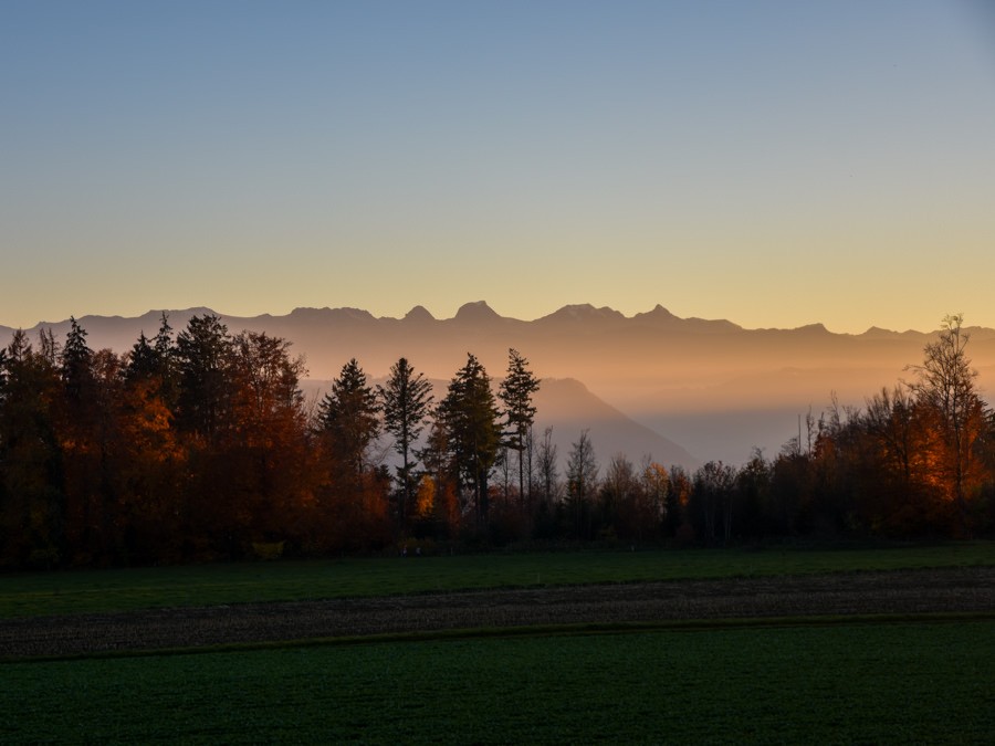 Belle ambiance automnale. Photo: Alexandra Blatter