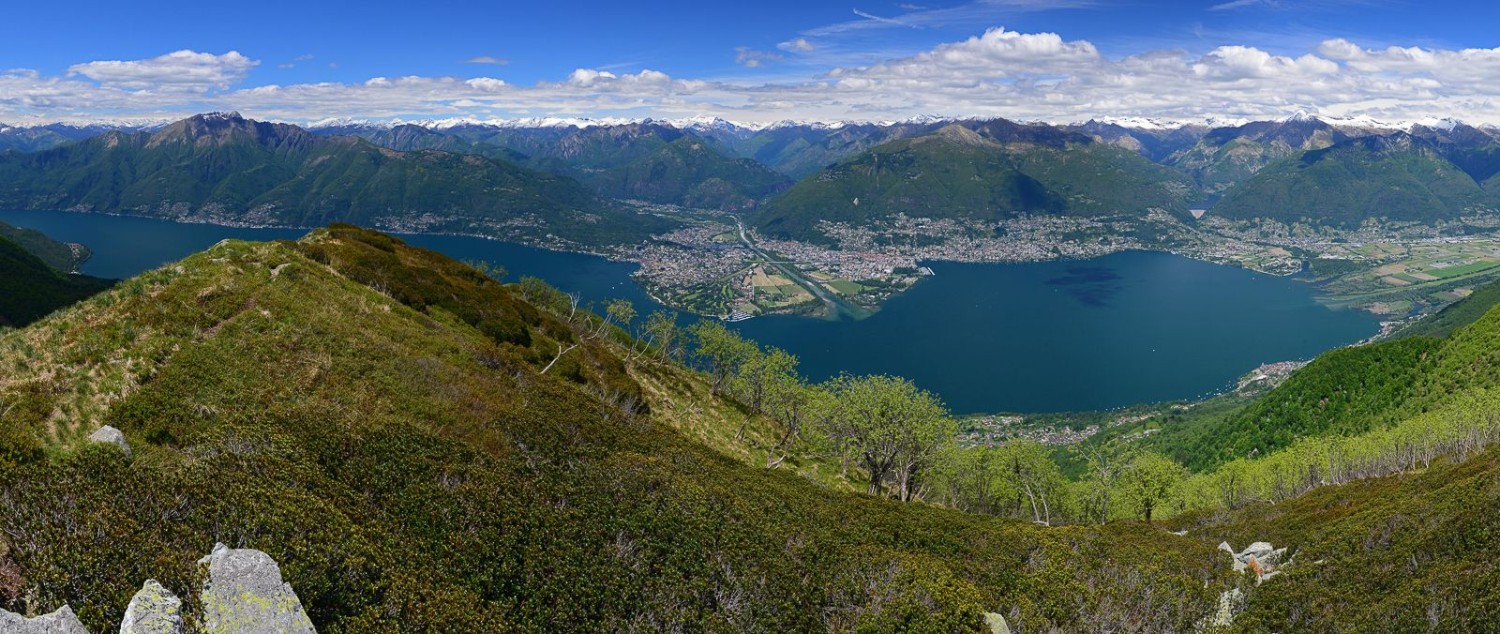 Lors de la dernière partie de la montée au Monte Gambarogno, le regard se porte sur l’imposant delta d’Ascona, non loin de Locarno. Photo: natur-welten.ch