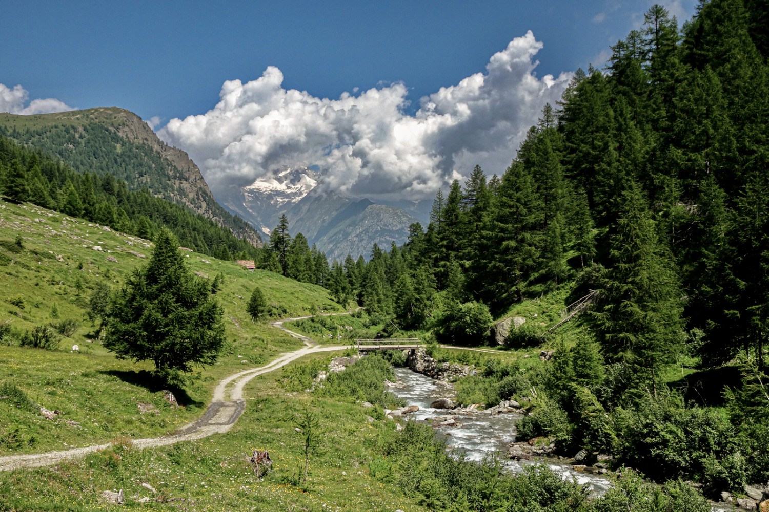 Franchissement de la rivière Gamsa, dans le Nanztal. Photo: Pascal Bourquin