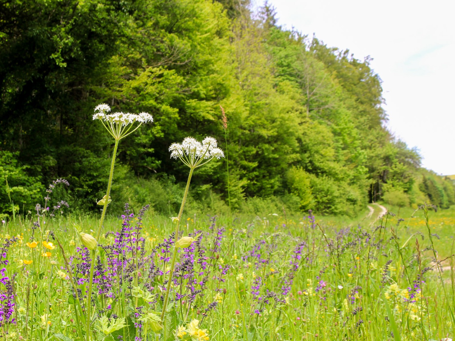 Das Gasthaus Löwen in Bargen. Bild: Elsbeth Flüeler