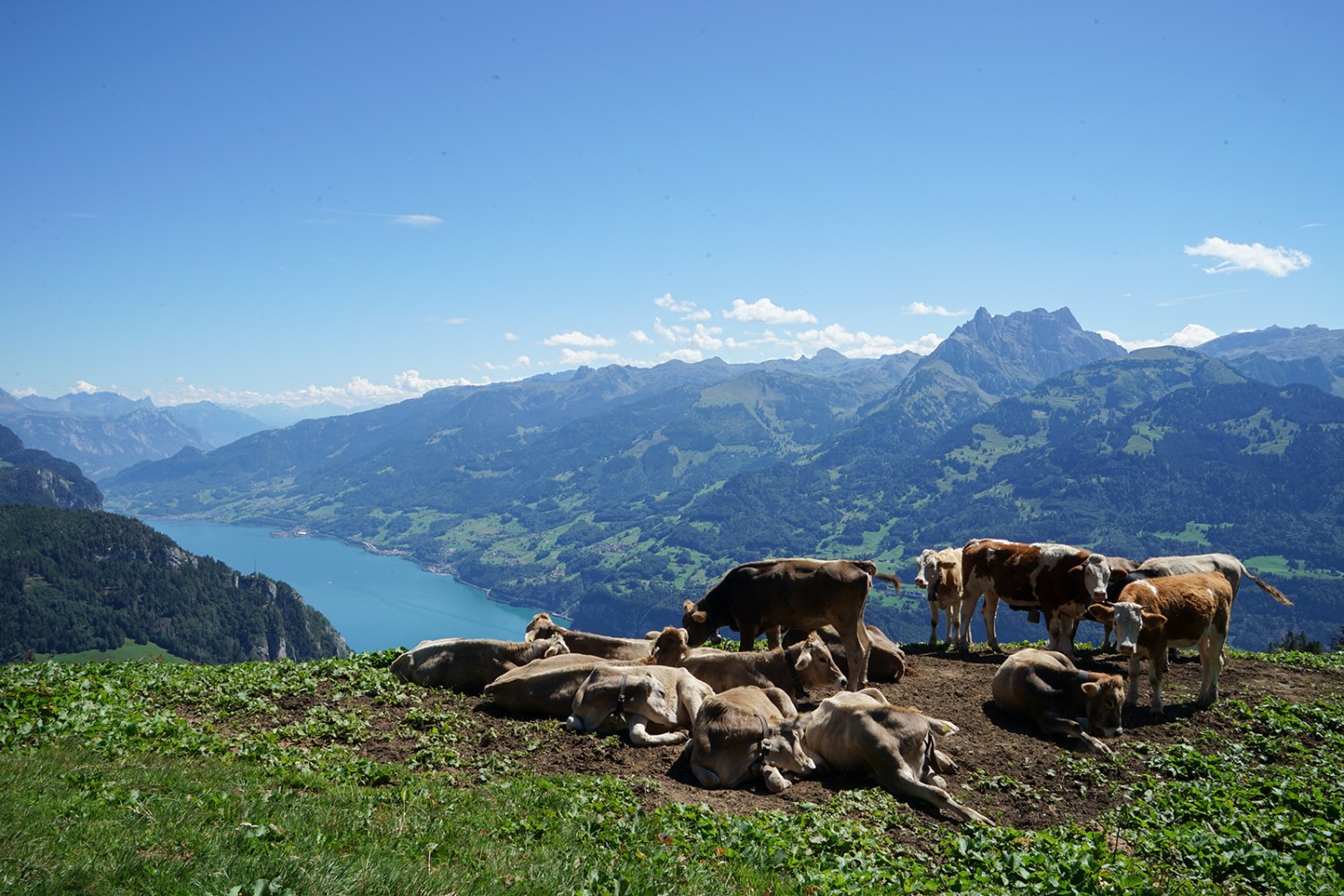 L’Undernätenalp.