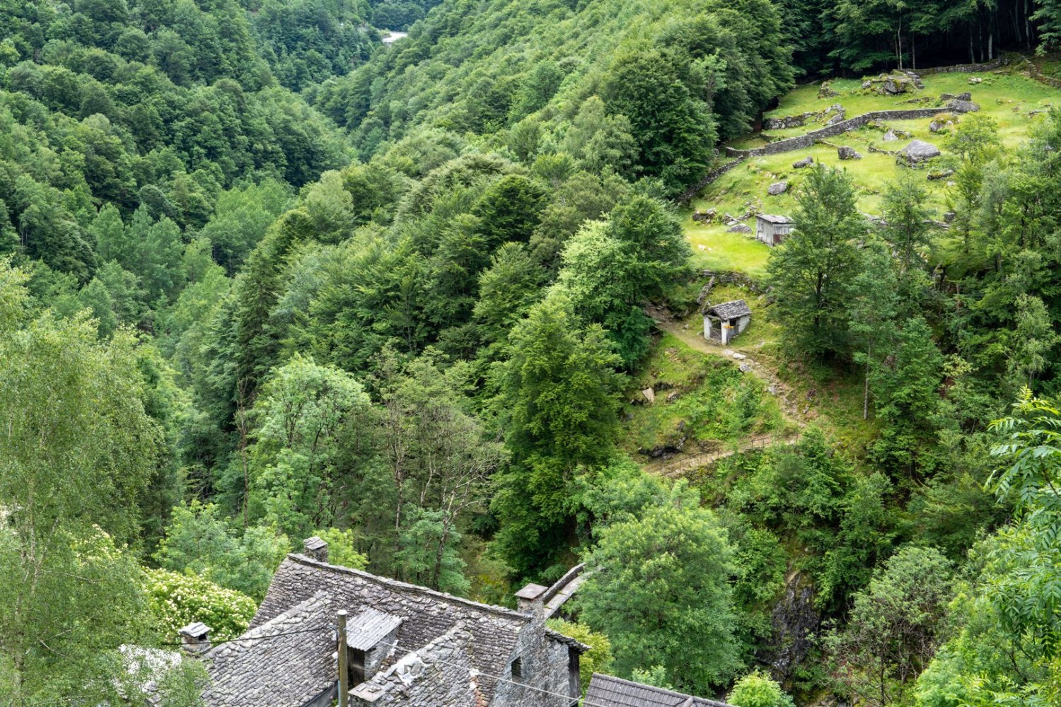 Un rustico et la présence marquée de la forêt, un paysage typique du Tessin