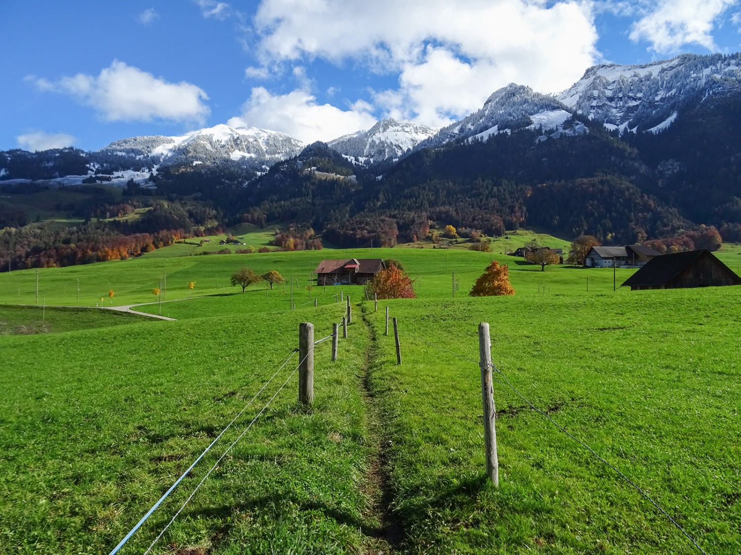 Auf der Hochebene bei Bethanien.