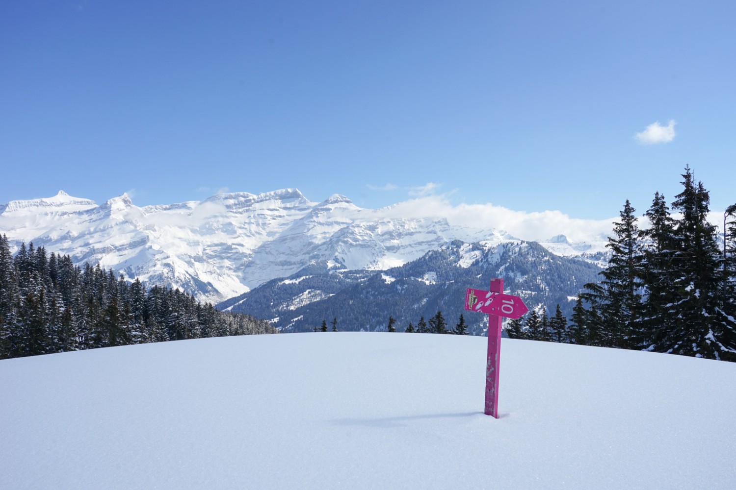 Eindrückliche Sicht auf die Gipfel des Massivs Les Diablerets, von Sex Rouge und Oldehore. Bilder: Reto Wissmann