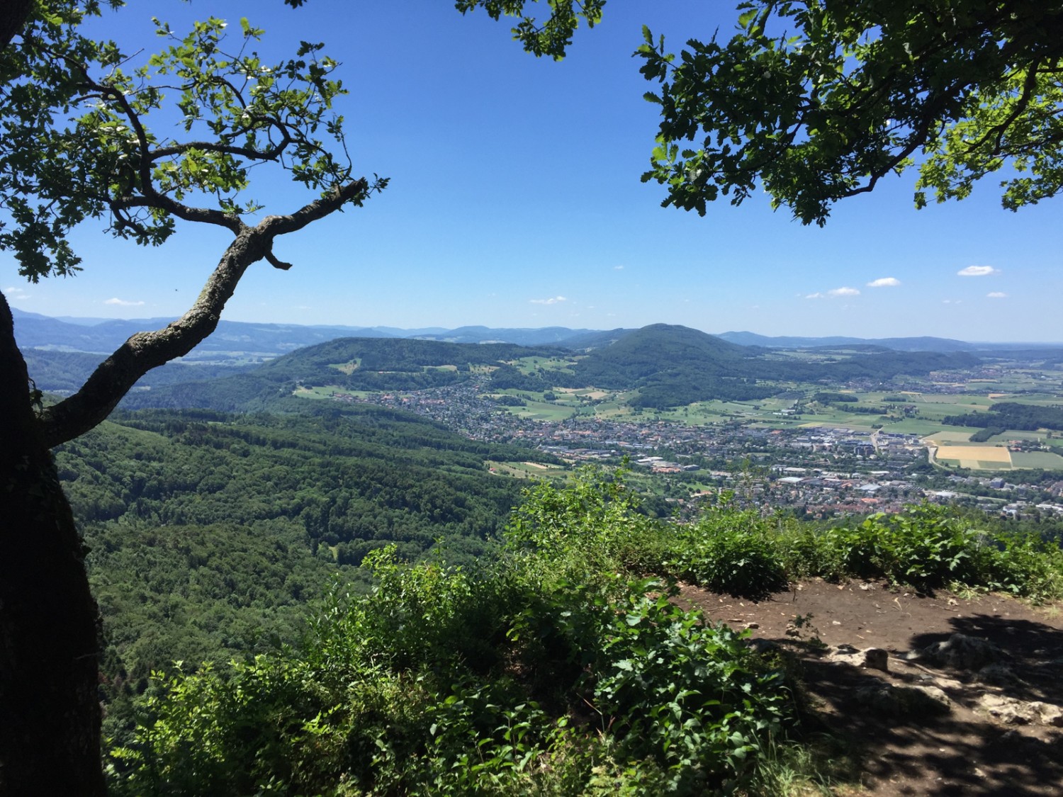 Vue de la Schartenflue sur le Blauen.