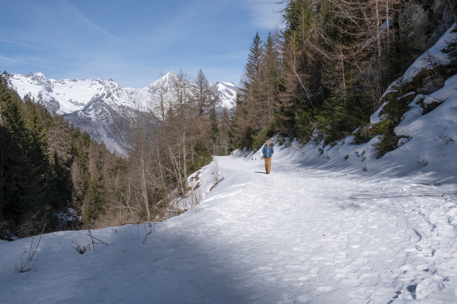 Zwischen Bürchen und der Brandalp verläuft die Route im Wald. Das Bietschhorn blitzt aber manchmal durch die Baumwipfel. Bild: Markus Ruff