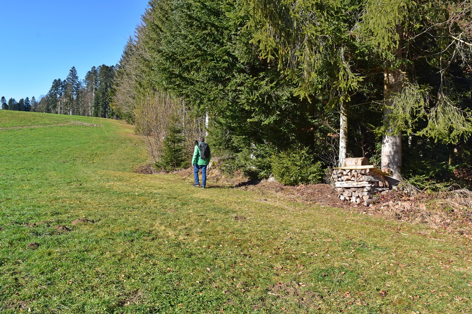 Un chemin riche et varié longe l’orée du bois.