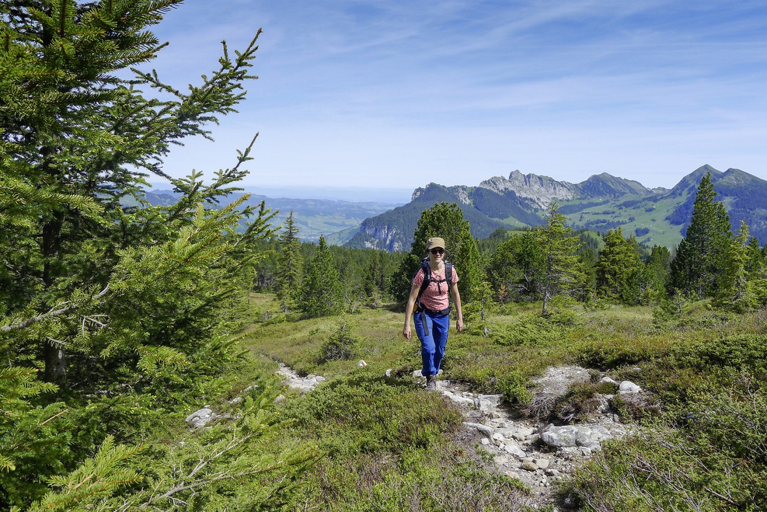 Dählebode: Höchster Punkt der Tour, gefolgt von malerischen Picknickplätzchen. Bilder: Mia Hofmann