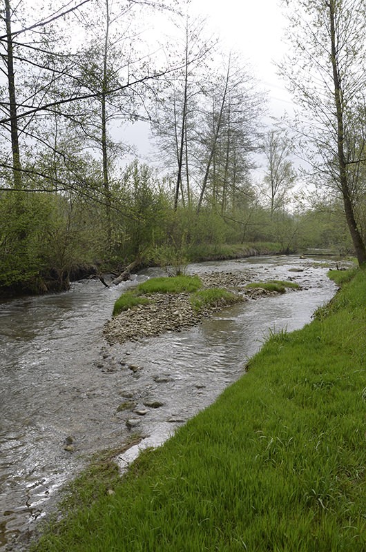 La rivière Reppisch a été renaturée.