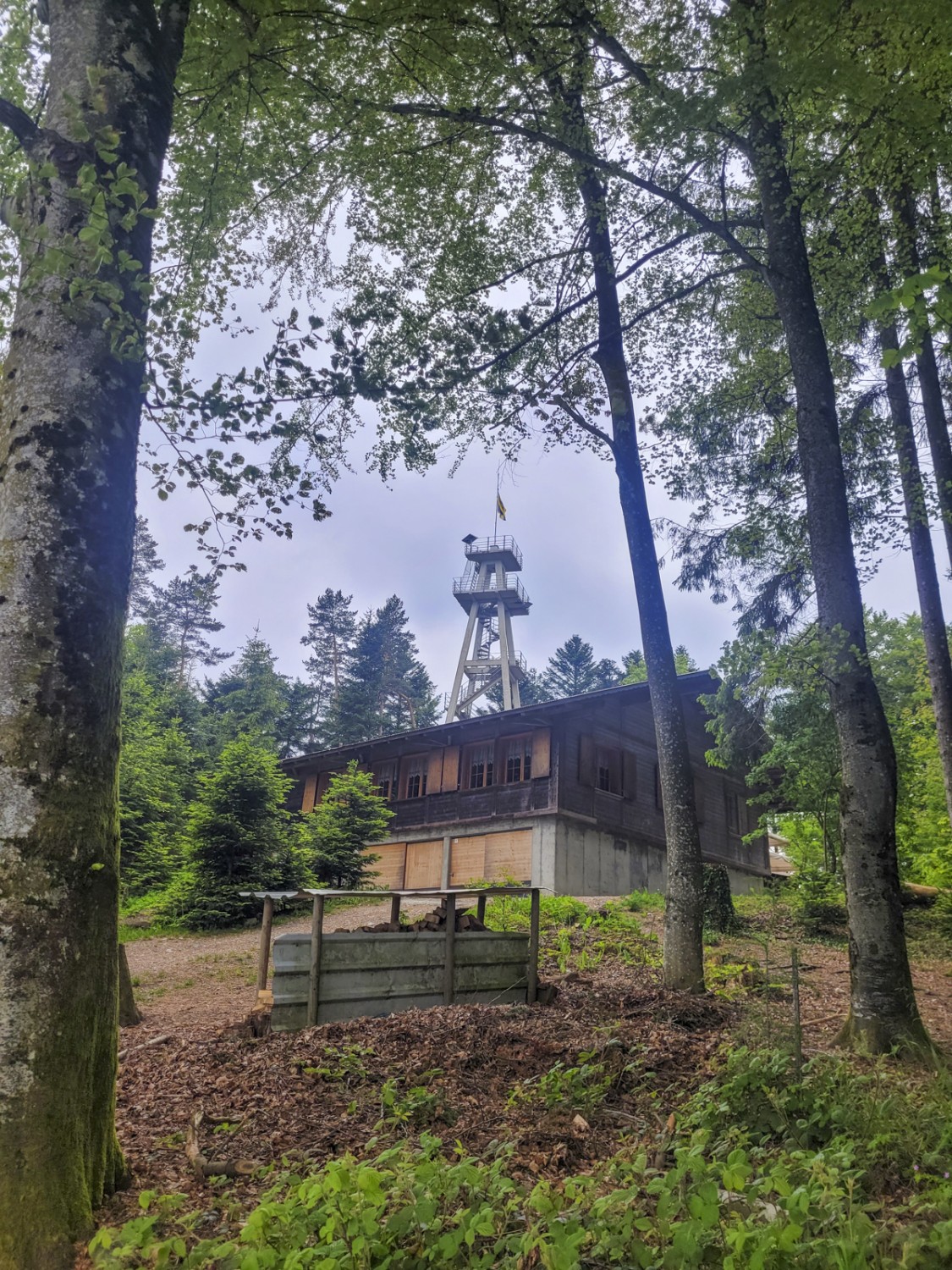 Nichts wie rauf auf den Aussichtsturm Hohwacht. Bild: Yolanda Loosli