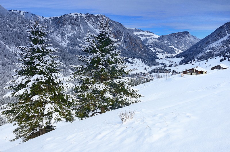 Blick zurück ins Diemtigtal: Im Eldorado der Wintersportler, die Ruhe suchen, nehmen Wanderer Rücksicht aufs Wild. Bilder: natur-welten.ch