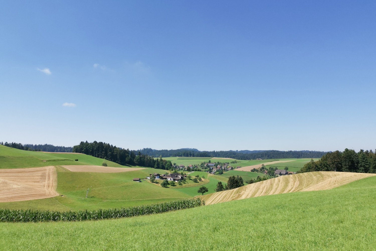 La randonnée mène à travers la campagne vallonnée typique de l'Emmental.