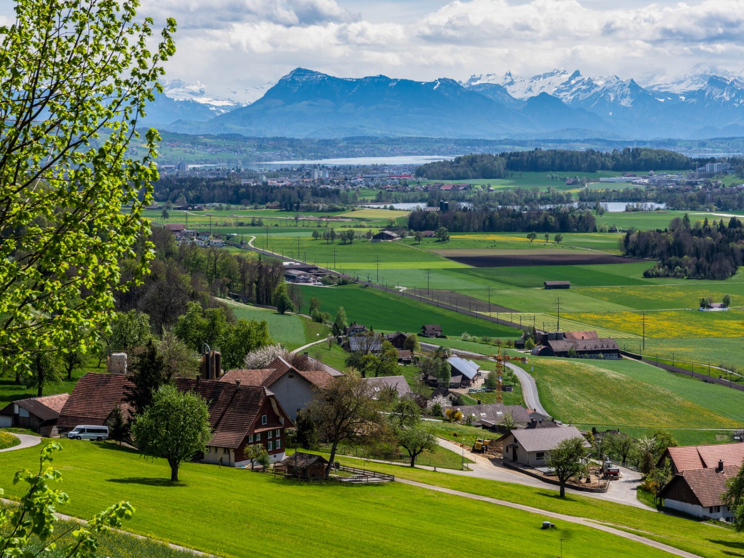 Blick über Maue- und Sempachersee zur Rigi. Foto: Franz Ulrich