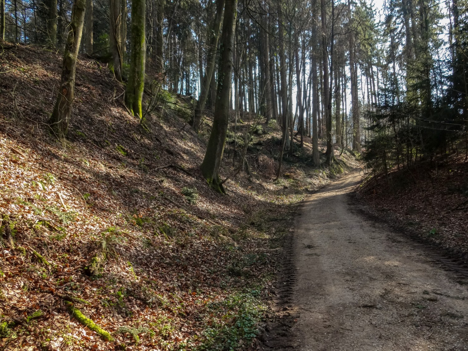 Un chemin creux peu avant le site de Petinesca. Photo: Miroslaw Halaba