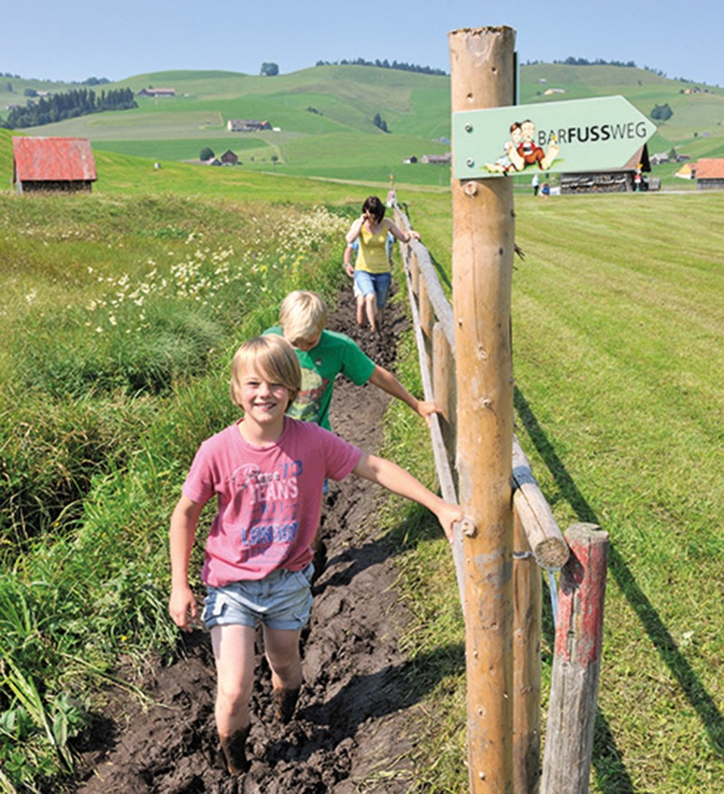 Dans la région du marais, la boue fait des heureux. Photo: appenzell.ch