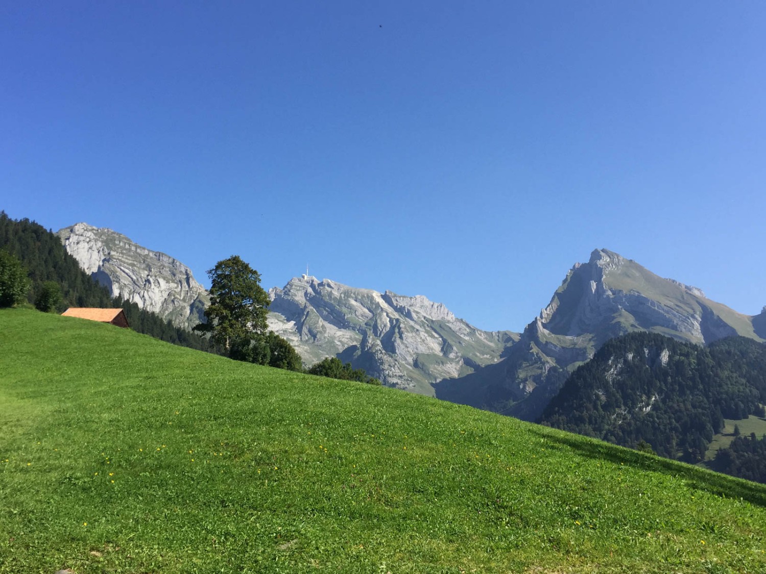 Aussicht auf Säntis und Wildhuser Schofberg. Bild: Vera In-Albon