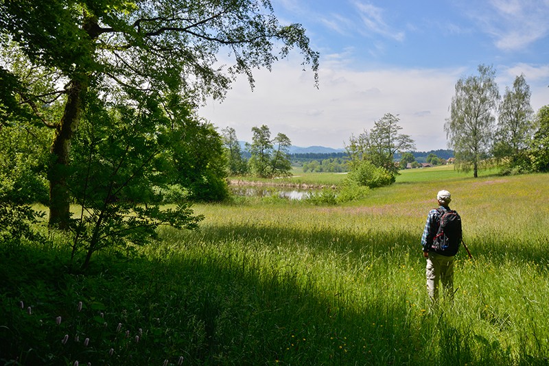 Östlich von Oberwil bietet ein Weiher Raum für eine Pause.