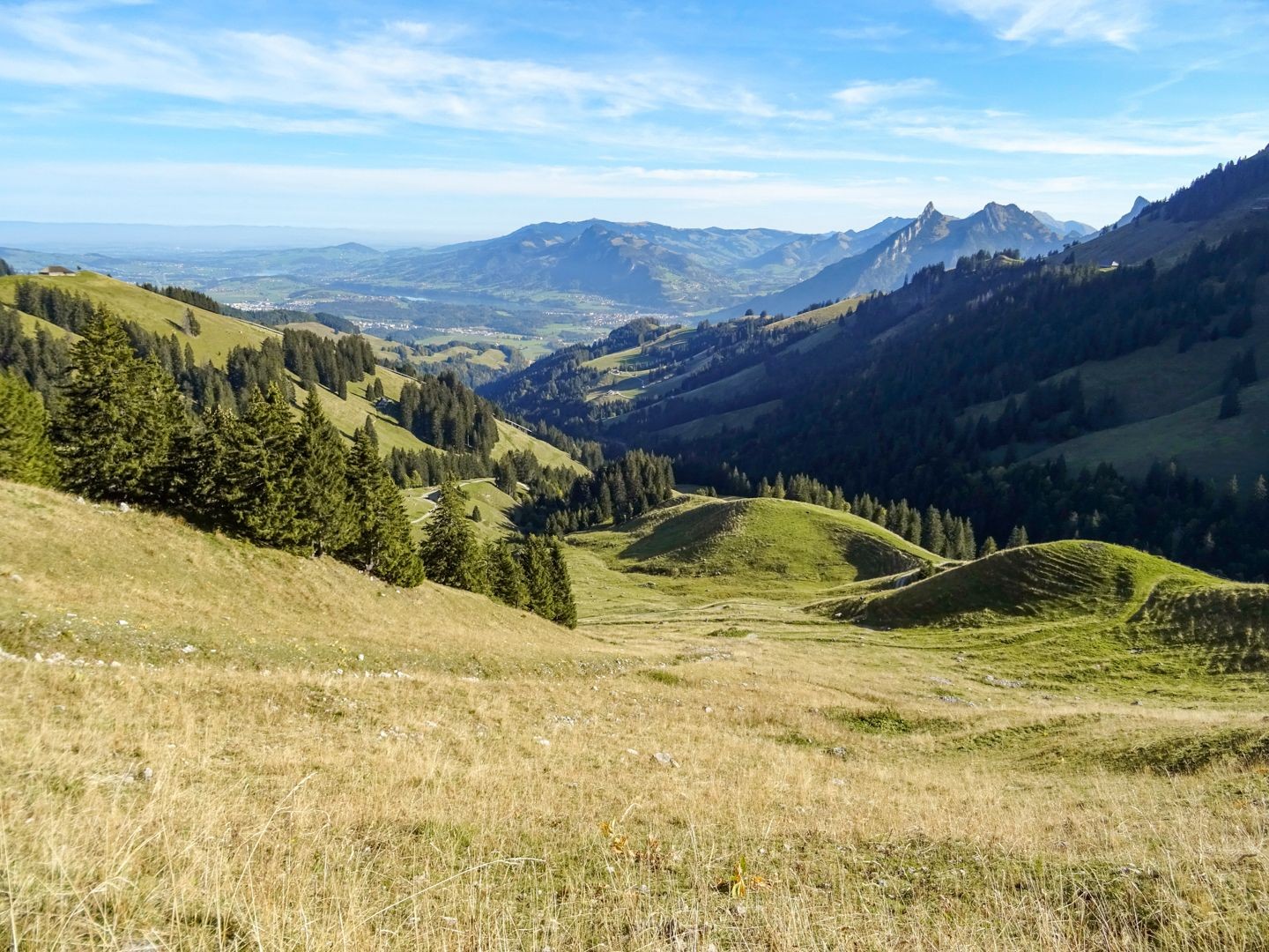 Vue, à Plan-Francey, sur la région de la Gruyère