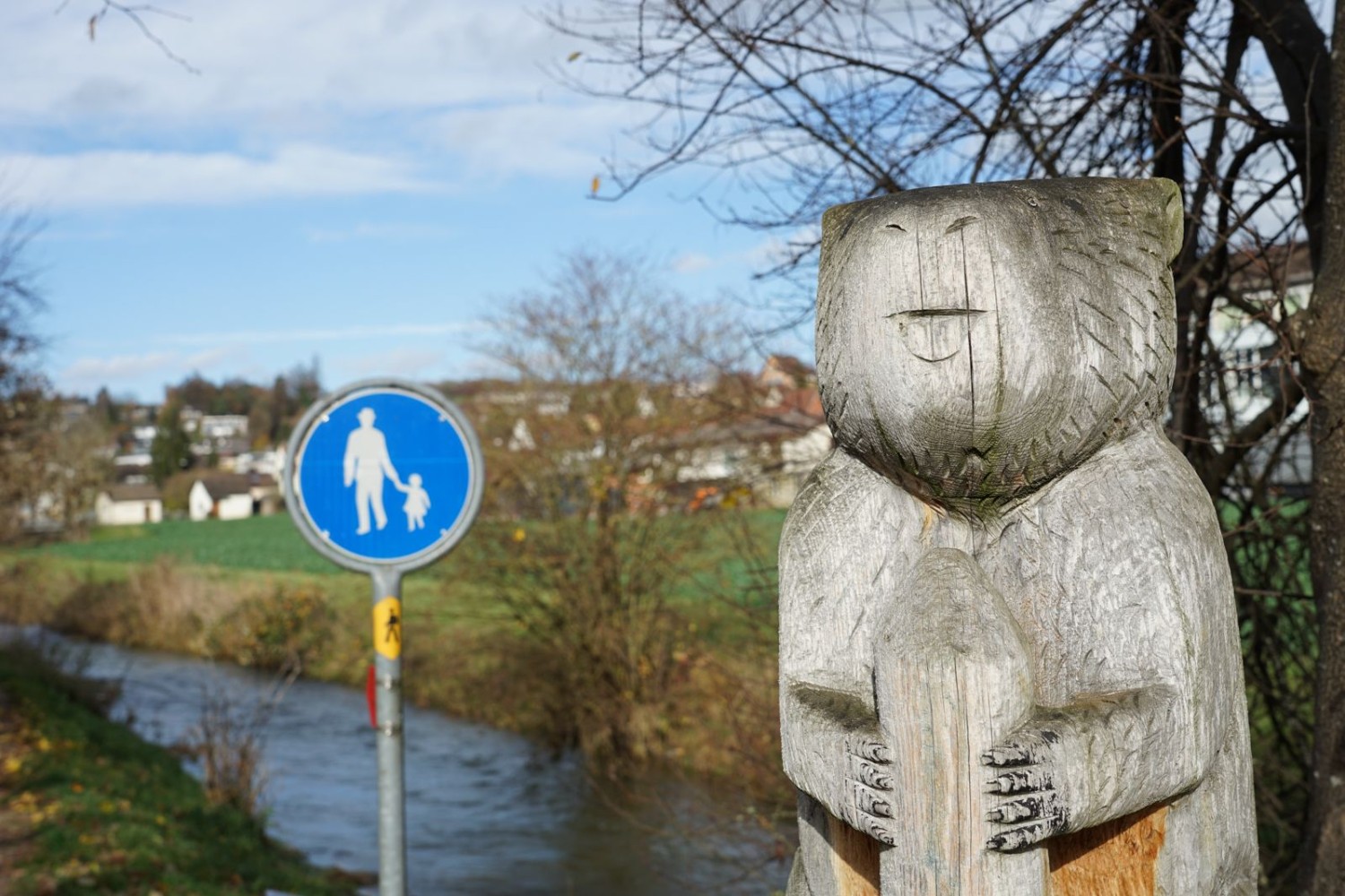 Le castor est omniprésent le long de la Biber, la rivière qui traverse Thayngen.