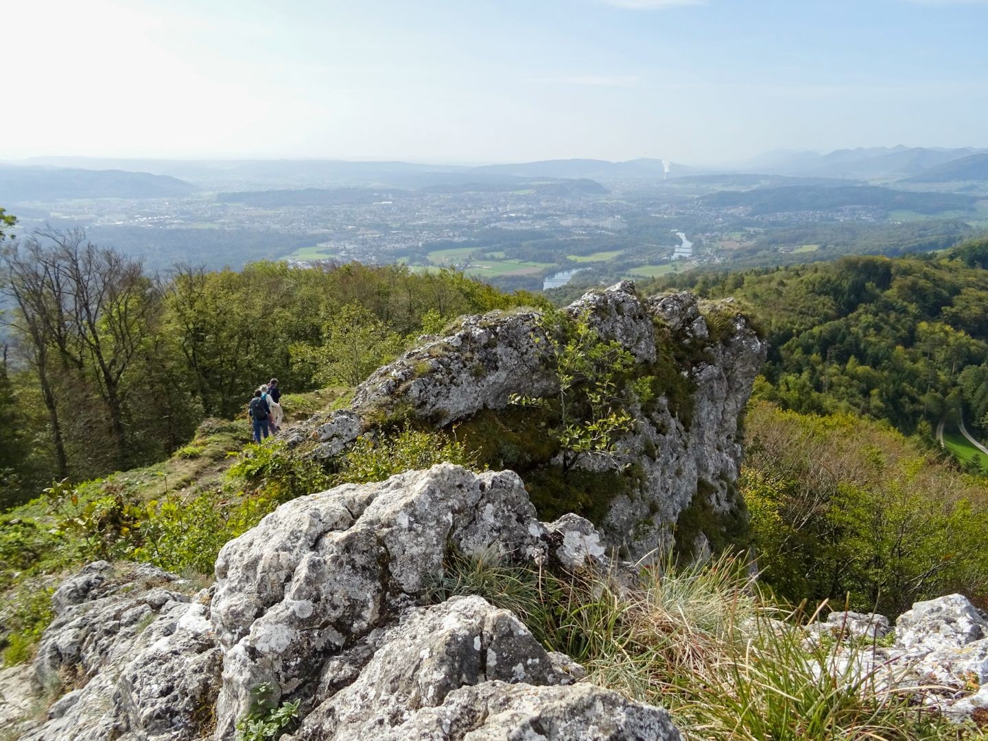 Vue depuis la Gisliflue sur le Plateau