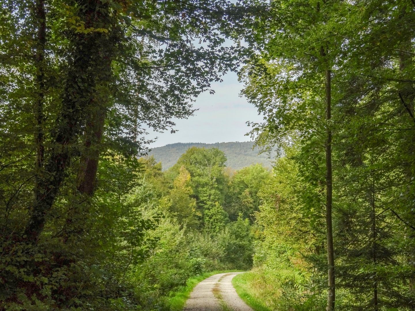 Au-dessus de Veltheim, où débute la randonnée