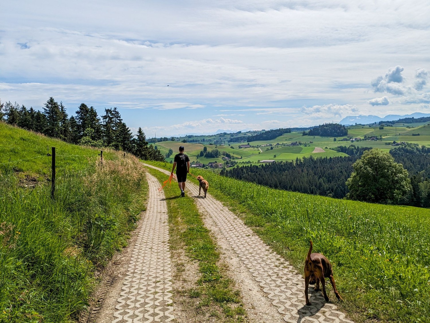 La randonnée offre une vue étendue sur l’Emmental