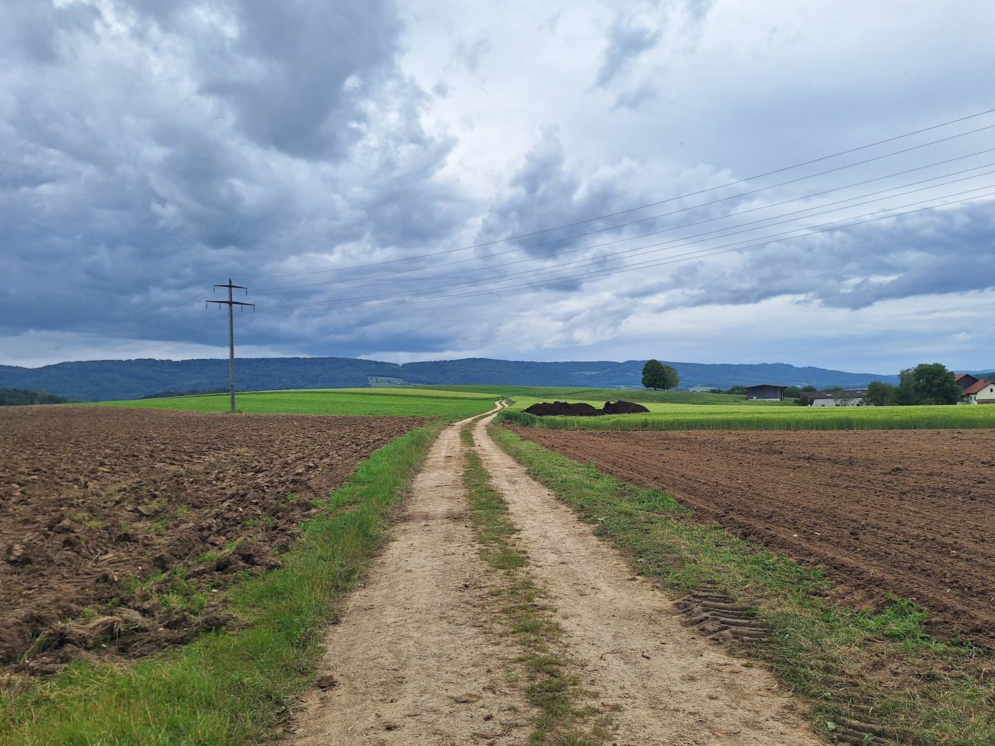 Le parcours est parfait pour une longue promenade avec son chien.