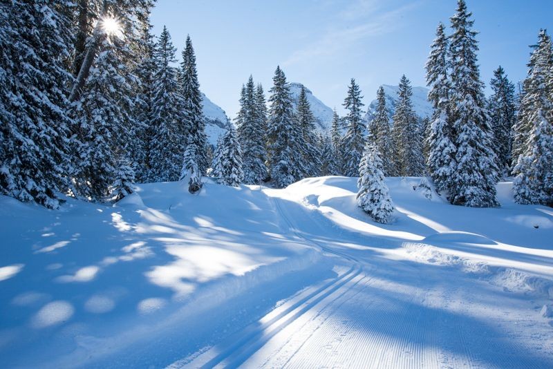 Derrière les sapins et les mélèzes enneigés, on aperçoit les sommets des Churfirsten.