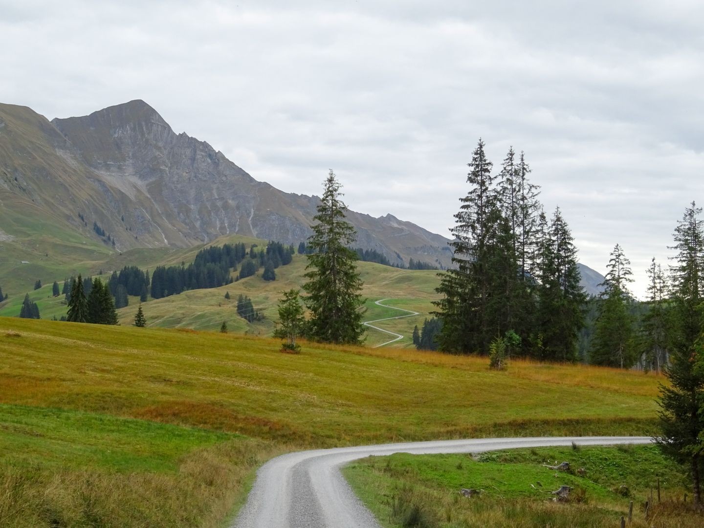 Même par temps maussade, le paysage est coloré.