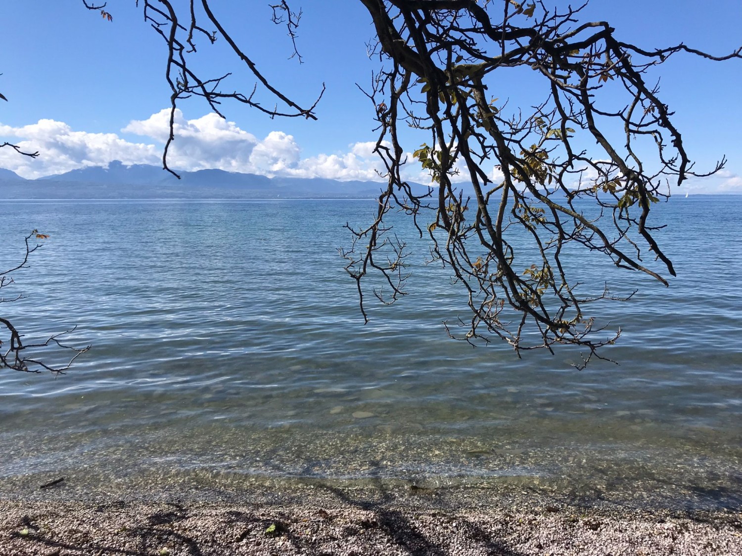 Uferwanderung entlang des Genfersees