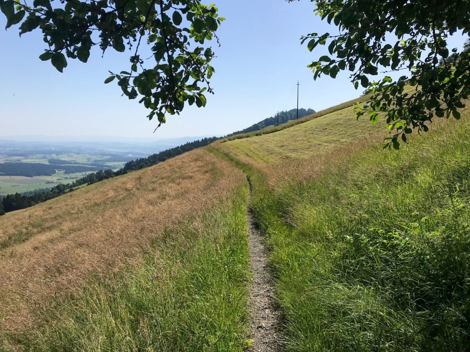 Selon la saison, les chemins étroits sont bordés de hautes herbes.