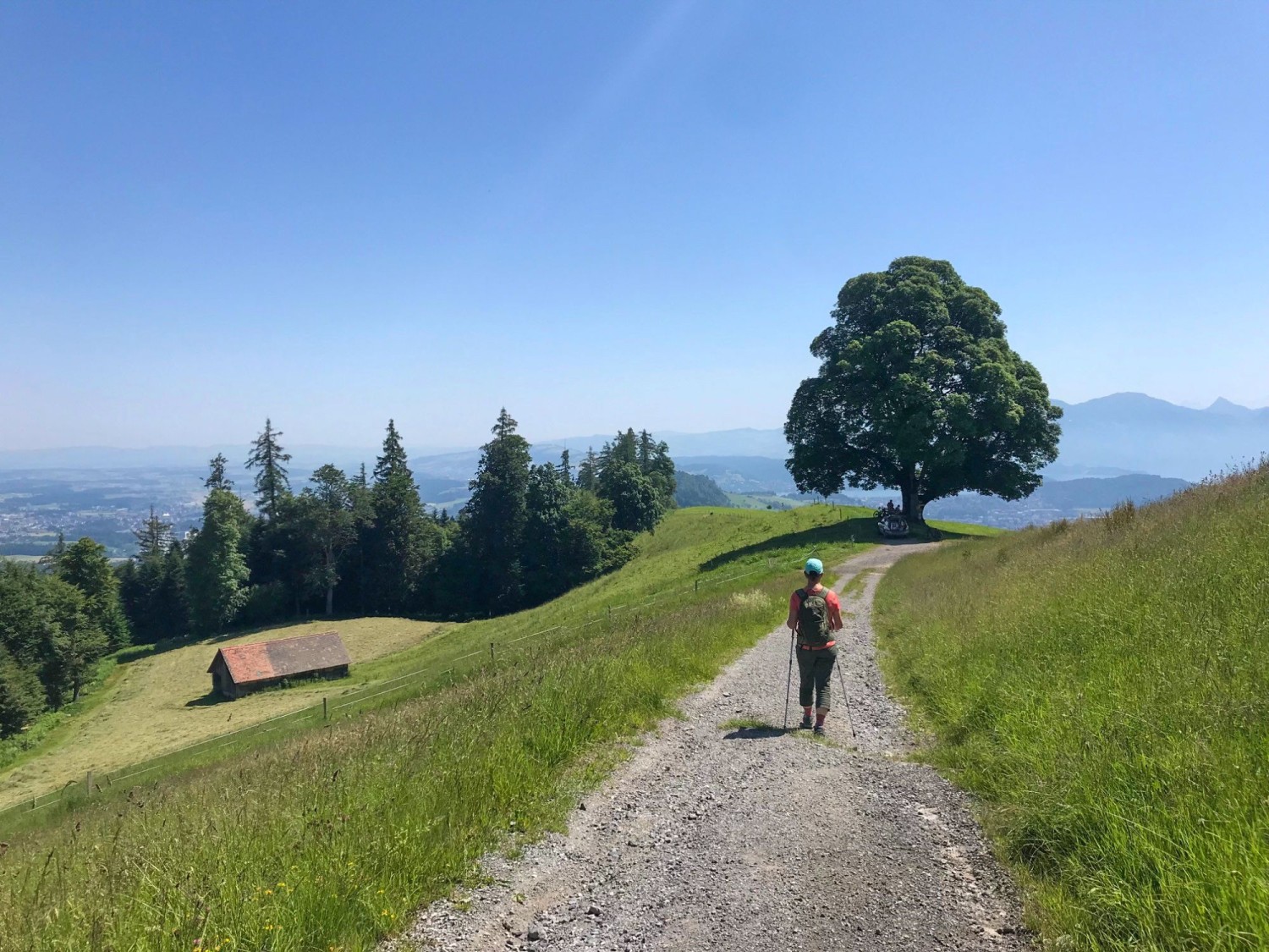 La randonnée passe par le Blatterberg en direction de Lucerne.