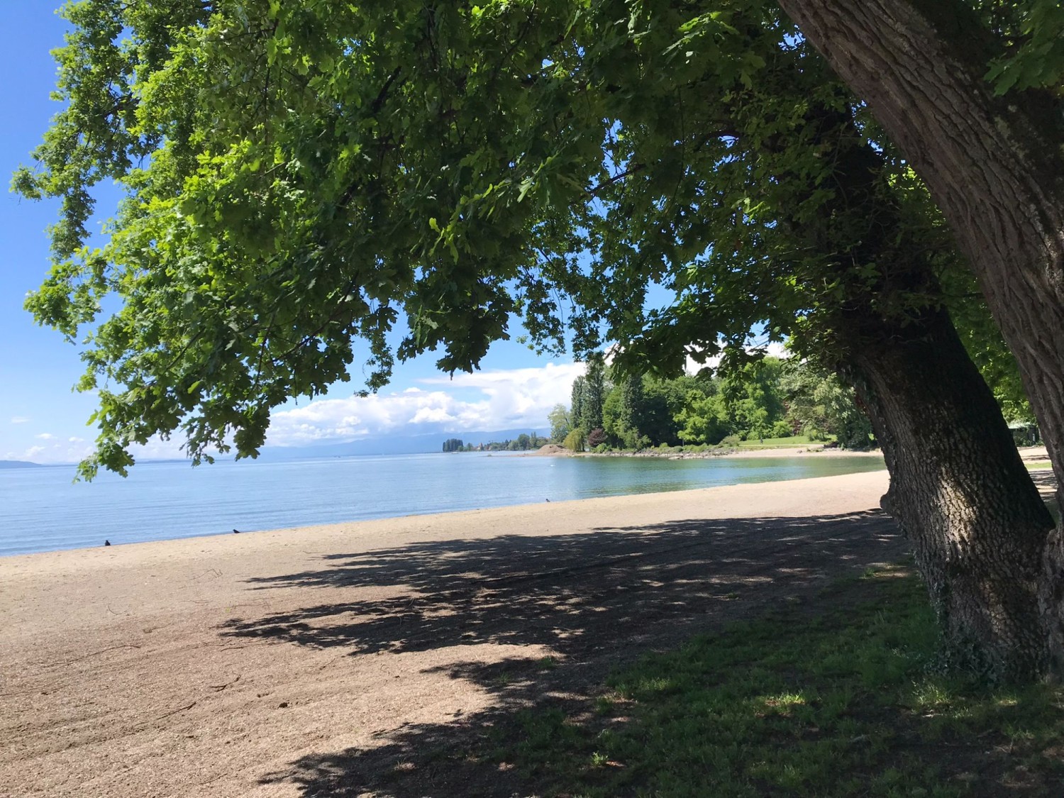 Die Wanderung endet am Sandstrand von Vidy, Lausanne, und mit der Option eines Frühlingsbades.