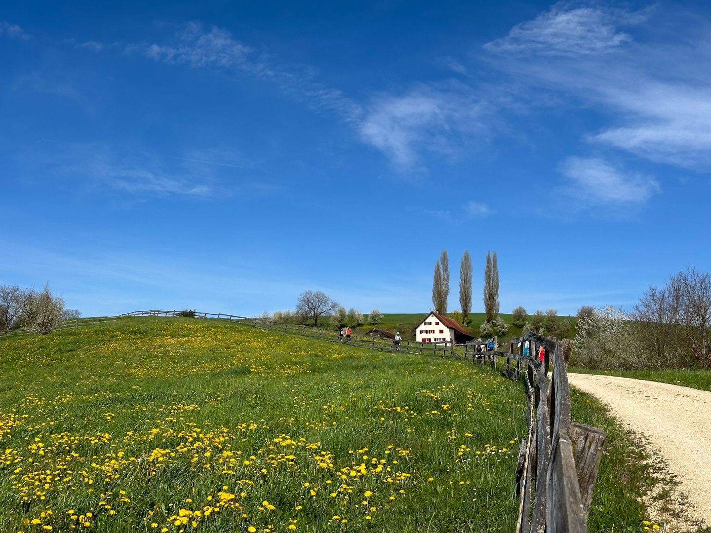 Sur le chemin menant au Wendelhof