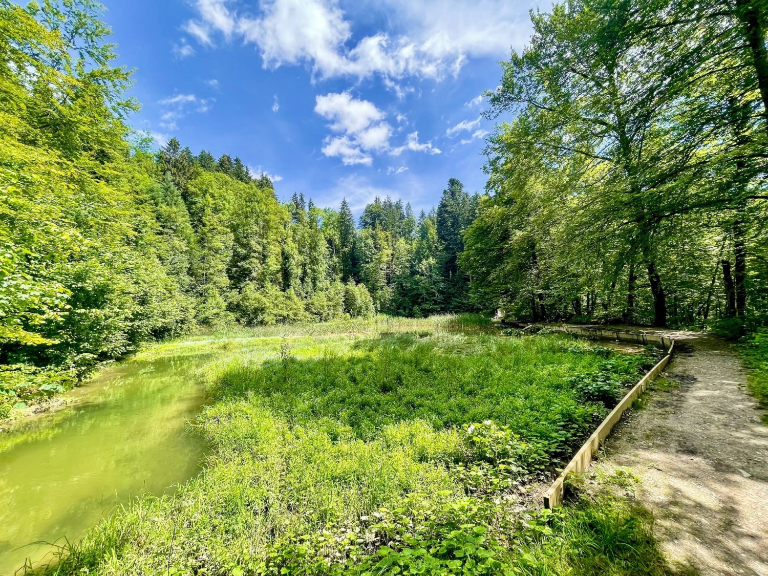 La randonnée très variée traverse de charmants paysages.