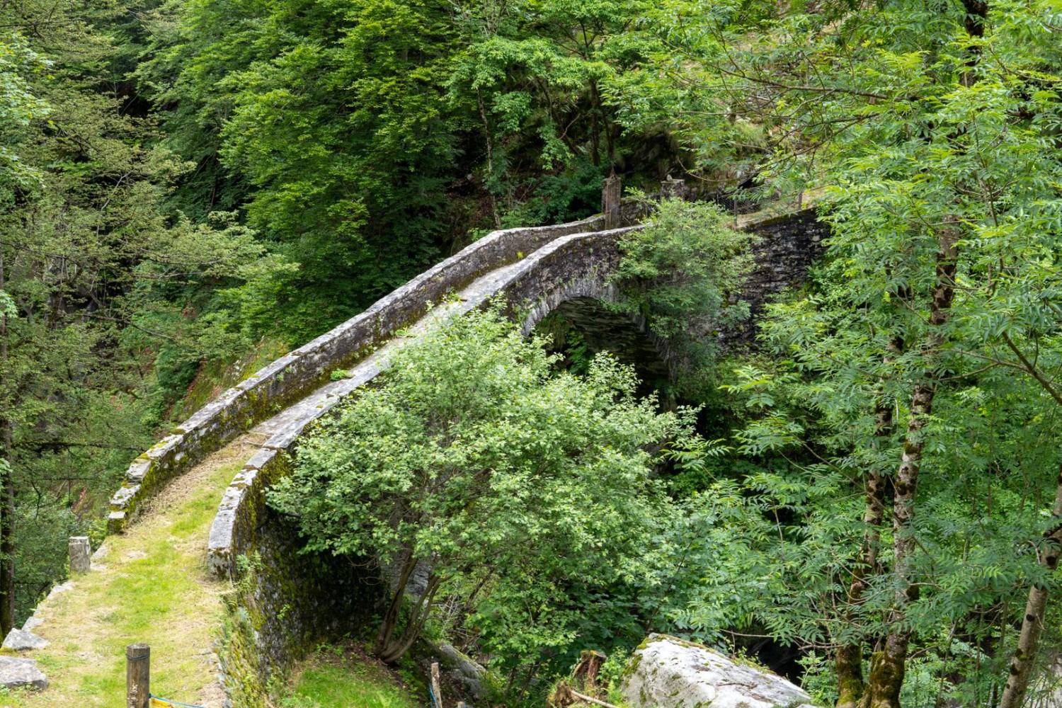 La rivière Ribo se traverse par un pont de pierre d’une seule arche.